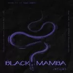 دانلود آهنگ جدید Aespa به نام Black Mamba