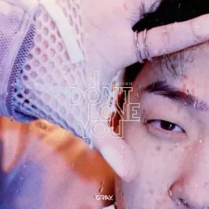 دانلود آهنگ جدید Gray Ft. Coogie به نام I Don’t Love You
