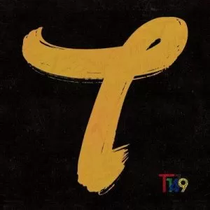 دانلود آهنگ جدید T1419 به نام FLEX