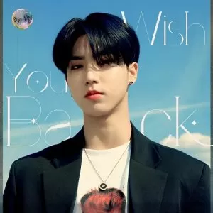 دانلود آهنگ جدید HAN (Stray Kids) به نام Wish You Back