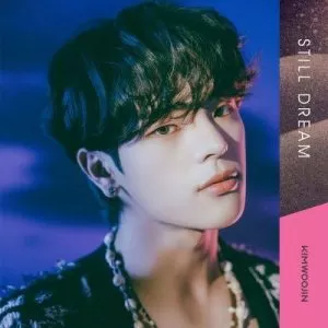 دانلود آهنگ جدید KIM WOOJIN به نام Still Dream
