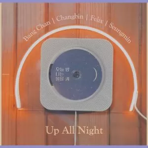 دانلود آهنگ جدید Stray Kids به نام Up All Night