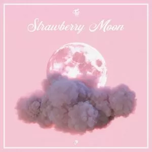 دانلود آهنگ جدید TWICE به نام Strawberry Moon