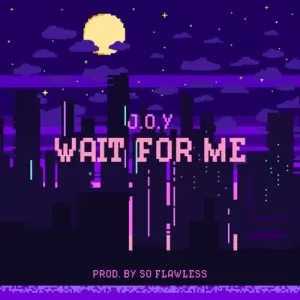 Waiting For You - JOY (Red Velvet)