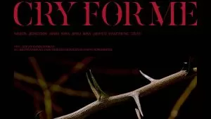 دانلود آهنگ جدید TWICE به نام CRY FOR ME