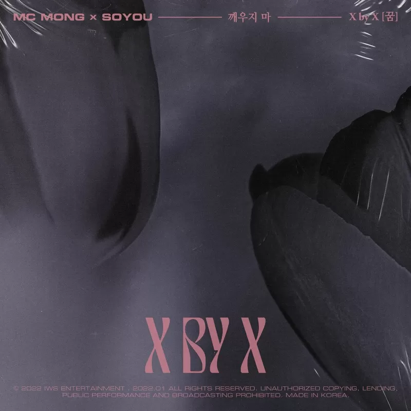دانلود آهنگ جدید Don't Wake Me Up (X by X [ Dream ]) به نام Mc Mong & SOYOU