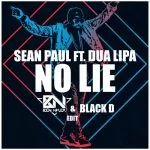 دانلود آهنگ جدید Sean Paul به نام No Lie (ft. Dua Lipa)