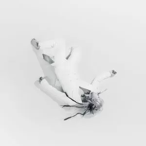 دانلود آهنگ جدید ASH ISLAND به نام Because