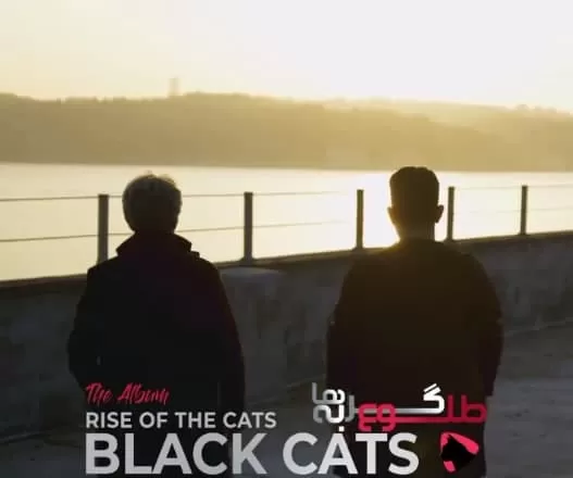 دانلود آلبوم جدید بلک کتس به نام طلوع گربه ها