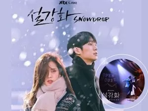 Snowdrop OST - Various Artists