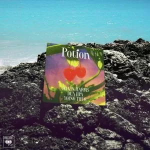 دانلود آهنگ جدید Calvin Harris, Dua Lipa & Young Thug به نام Potion