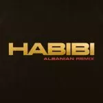دانلود آهنگ جدید Dj Gimi به نام O Habibi (Albanian Remix)