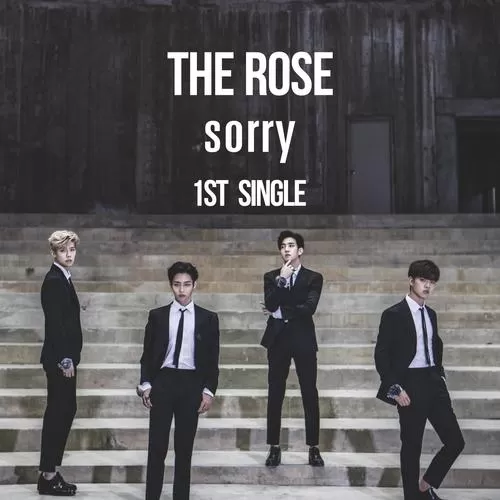 دانلود آهنگ جدید Sorry به نام The Rose