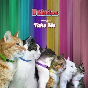 دانلود آهنگ Take Me (With 11Kitties) CODE KUNST & meenoi