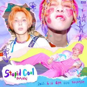 دانلود آهنگ Stupid Cool دان