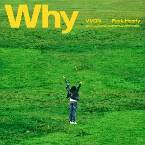 دانلود آهنگ Why (Feat. Hoody) VVON