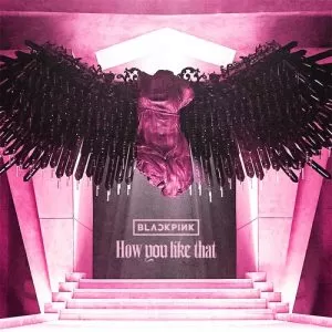 دانلود آهنگ How You Like That (Inst.) (CD Only) بلک پینک (BLACKPINK)