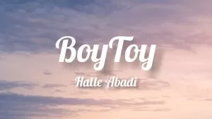 دانلود آهنگ BOYTOY Halle Abadi