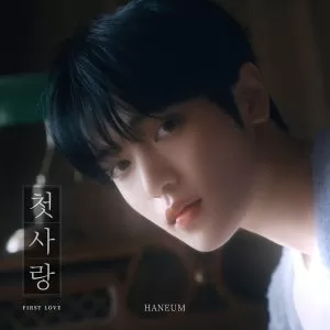 دانلود آهنگ FIRST LOVE HANEUM