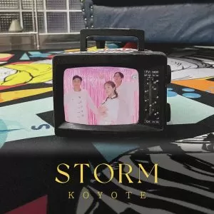 دانلود آهنگ Storm KOYOTE