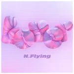 دانلود آهنگ Lover N.Flying