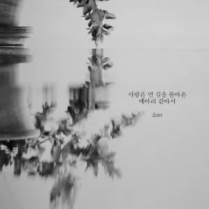 Echoes of Love's Journey - 2am