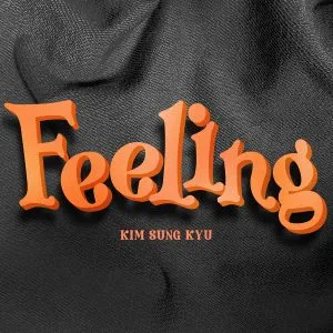 دانلود آهنگ Feeling Kim Sung Kyu