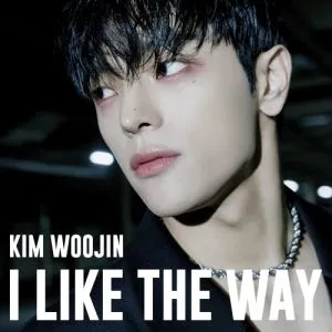 دانلود آهنگ I Like The Way KIM WOOJIN