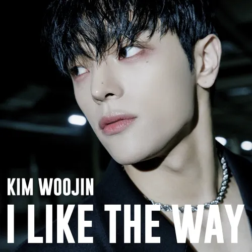دانلود آهنگ I Like The Way KIM WOOJIN