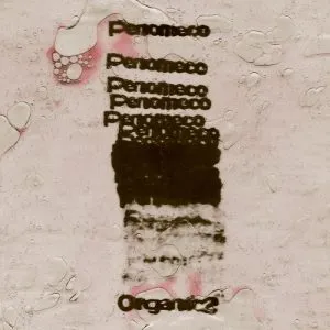 AURORA (feat. Crush) - PENOMECO