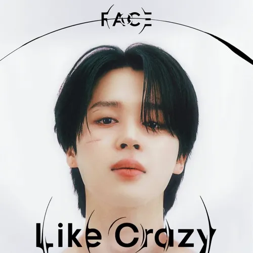 دانلود آهنگ Like Crazy (Violin Version) جیمین ( بی تی اس) JIMIN (BTS)