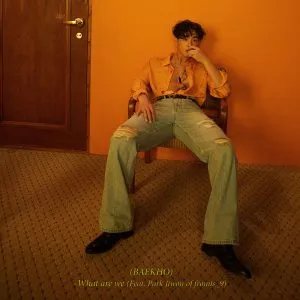 دانلود آهنگ What are we (Feat. PARK JIWON of fromis_9) BAEKHO