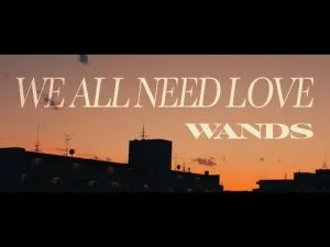 WE ALL NEED LOVE - WANDS