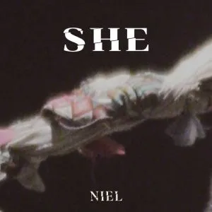 دانلود آهنگ SHE Niel (Teen Top)