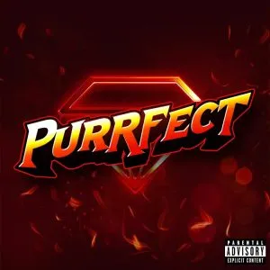 دانلود آهنگ PURRFECT VVS