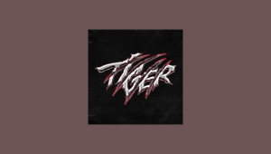 Tiger - THE BOYZ